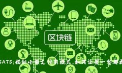 虚拟币SATS：揭秘小额支付新模式，如何让每一分