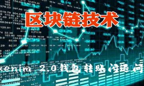 如何解决Tokenim 2.0钱包转账闪退问题：全面指南