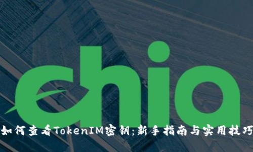 如何查看TokenIM密钥：新手指南与实用技巧